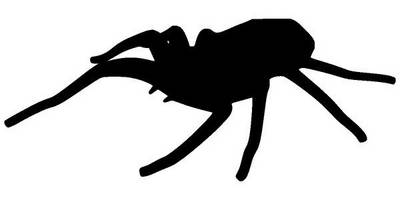 Животные 1240