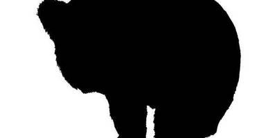 Животные 762