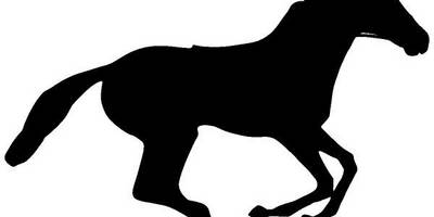 Животные 3738