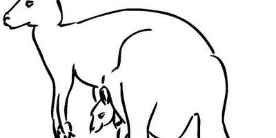 Животные 1876