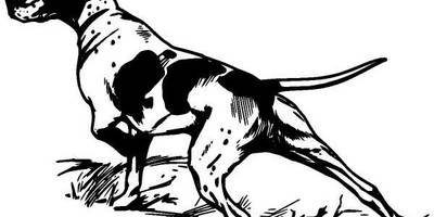 Животные 1033