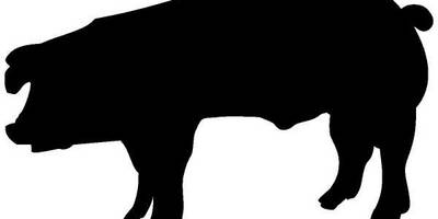 Животные 373