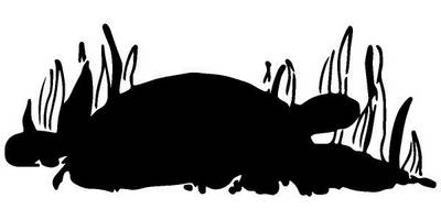 Животные 2223