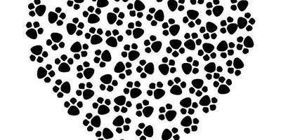 Животные 3369