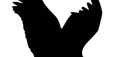 Животные 1574