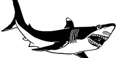 Животные 1282