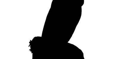 Животные 3339