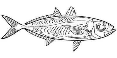 Животные 1319