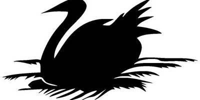 Животные 562