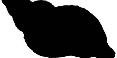 Животные 2249