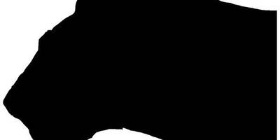 Животные 3491