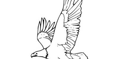 Животные 1573