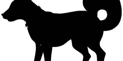 Животные 726