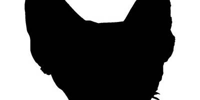 Животные 2502