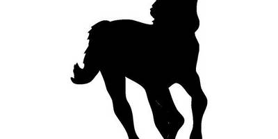 Животные 560