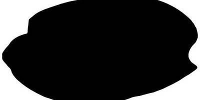 Животные 3781