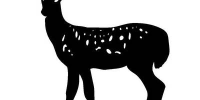 Животные 1330