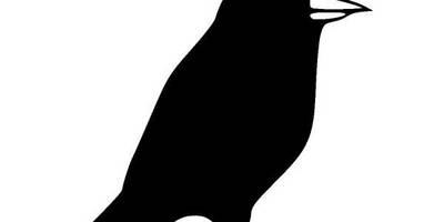 Животные 1064