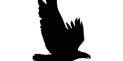 Животные 1146