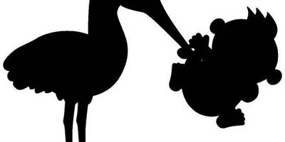 Животные 3049