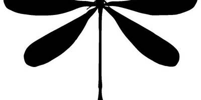 Животные 3276