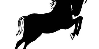 Животные 437