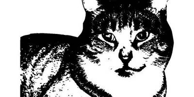 Животные 2054