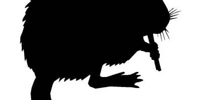 Животные 180