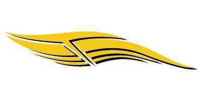 Виниловая наклейка на авто 246