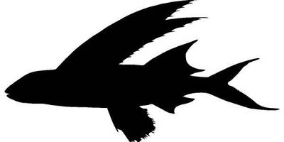 Животные 1192