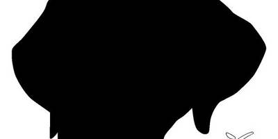 Животные 786