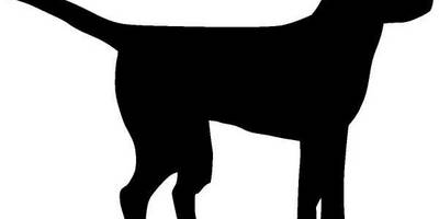 Животные 709