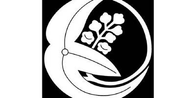 Японский узор 2758