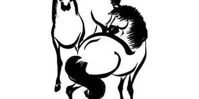 Животные 3448