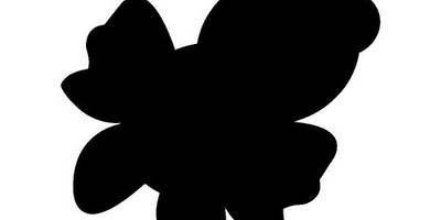 Животные 911