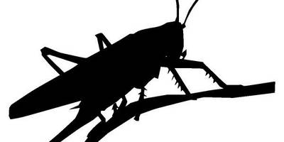 Животные 3845