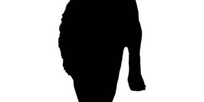 Животные 2334