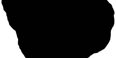 Животные 3065