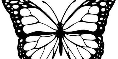 Животные 952