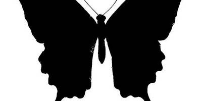 Животные 2297