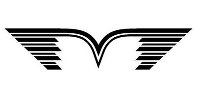 Виниловая наклейка на авто 63