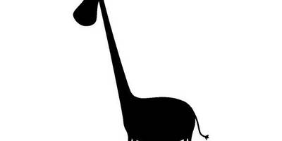 Животные 530