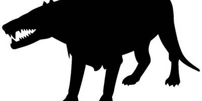 Животные 405