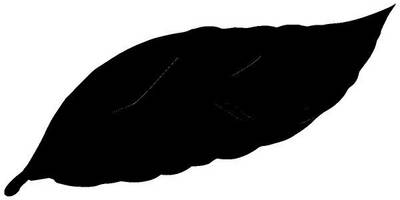 Животные 3327