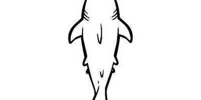 Животные 3263