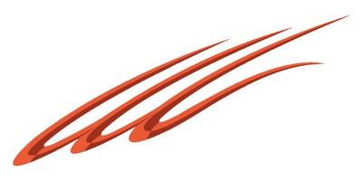 Виниловая наклейка на авто 463