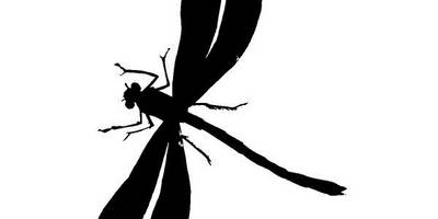 Животные 2148