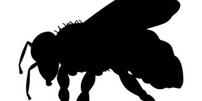 Животные 2514