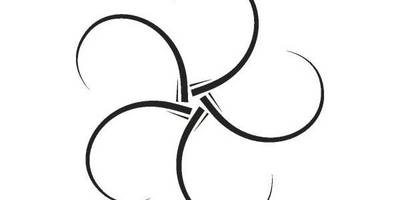 Орнамент цветы 79