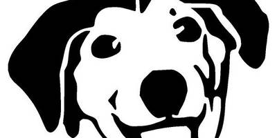 Животные 1169